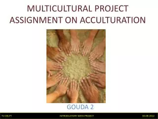 MULTICULTURAL PROJECT ASSIGNMENT ON ACCULTURATION