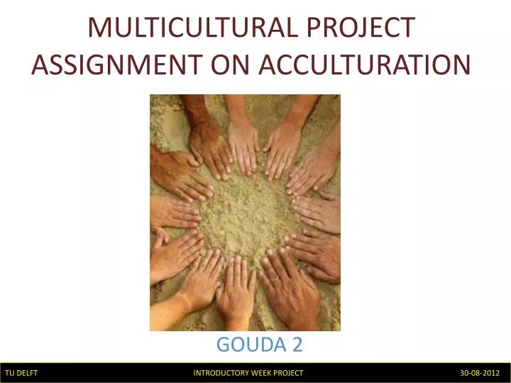 multicultural project assignment on acculturation