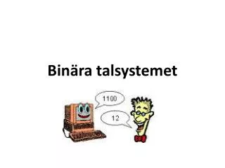 bin ra talsystemet