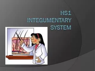 HS1 integumentary system