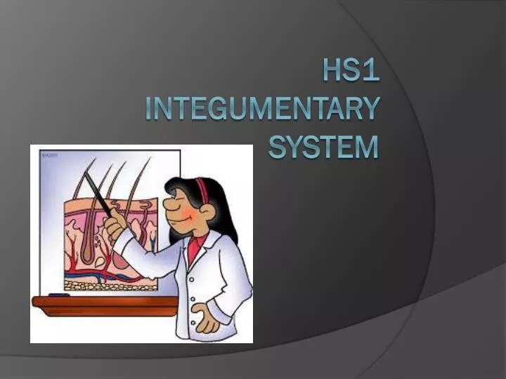 hs1 integumentary system