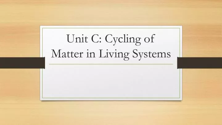 unit c cycling of matter in living systems