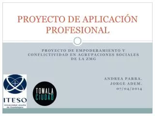 proyecto de aplicaci n profesional