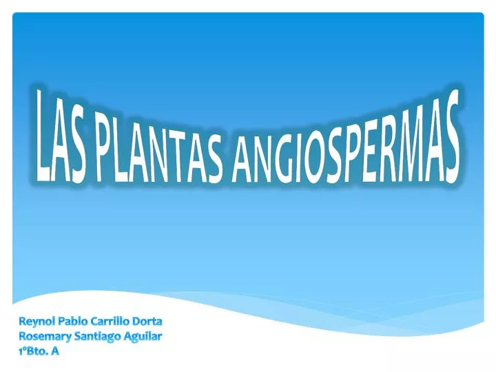 las plantas angiospermas