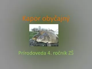 kapor oby ajn
