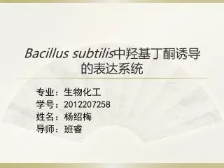 Bacillus subtilis ??? ?? ?? ? ?? ??