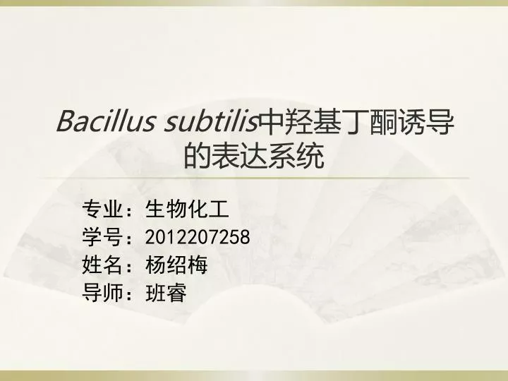 bacillus subtilis