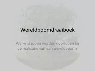 Wereldboomdraaiboek