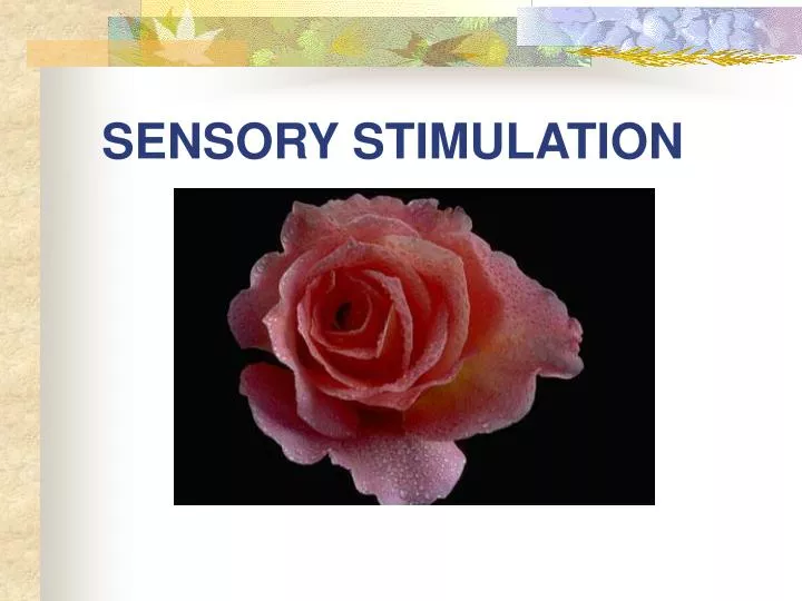 sensory stimulation