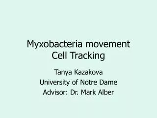 Myxobacteria movement Cell Tracking