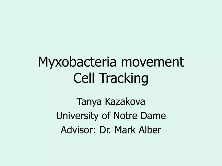 myxobacteria movement cell tracking