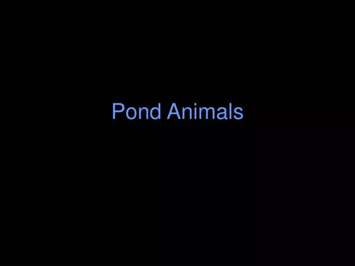 pond animals