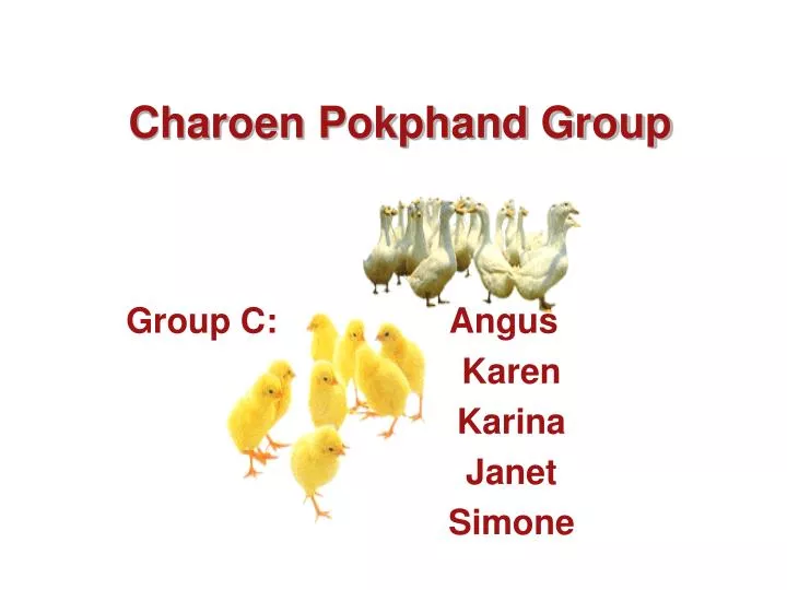 charoen pokphand group