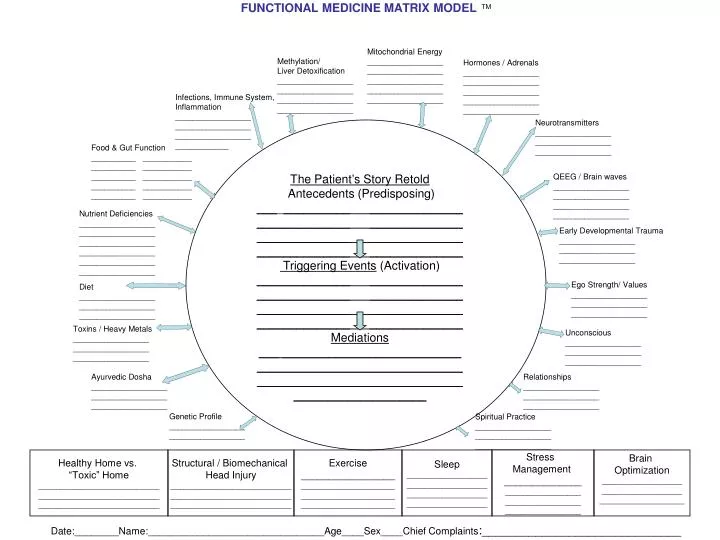 functional medicine matrix model tm