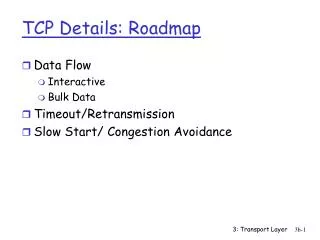 TCP Details: Roadmap