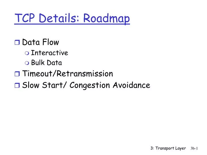 tcp details roadmap