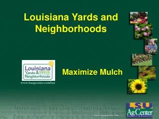 Louisiana Yards and Neighborhoods