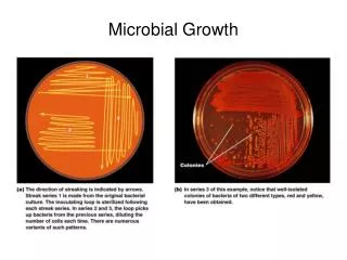 Microbial Growth