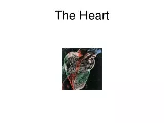 The Heart