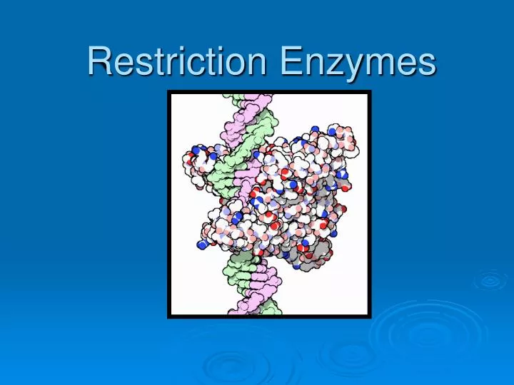 restriction enzymes