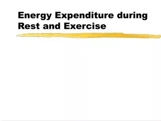 Energy Expenditure during Rest and Exercise