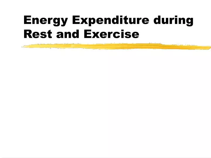 energy expenditure during rest and exercise