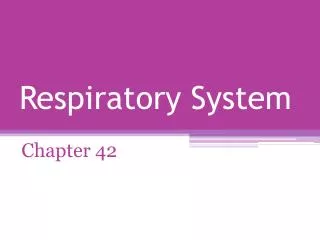 Respiratory System