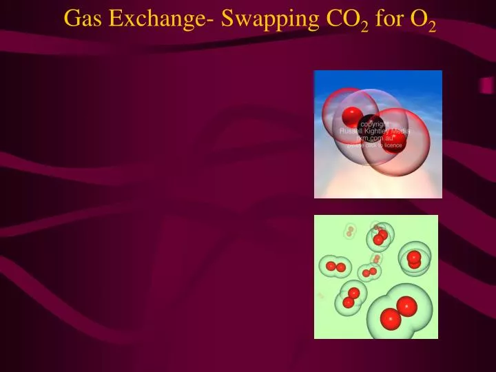 gas exchange swapping co 2 for o 2