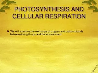 PHOTOSYNTHESIS AND CELLULAR RESPIRATION