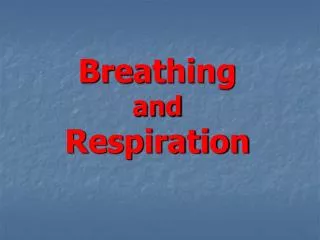 Breathing and Respiration