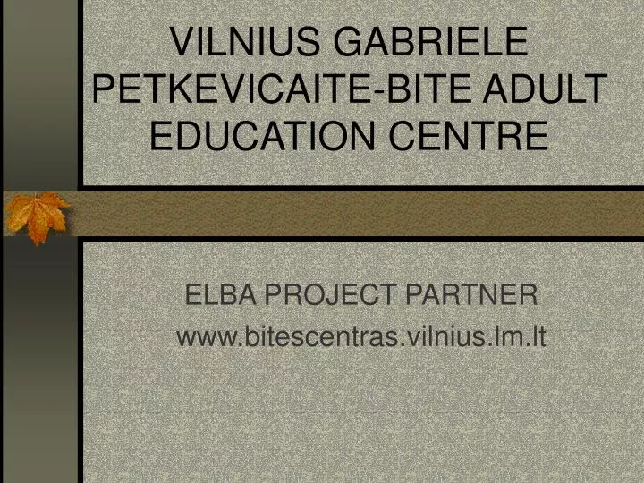 vilnius gabriele petkevicaite bite adult education centre