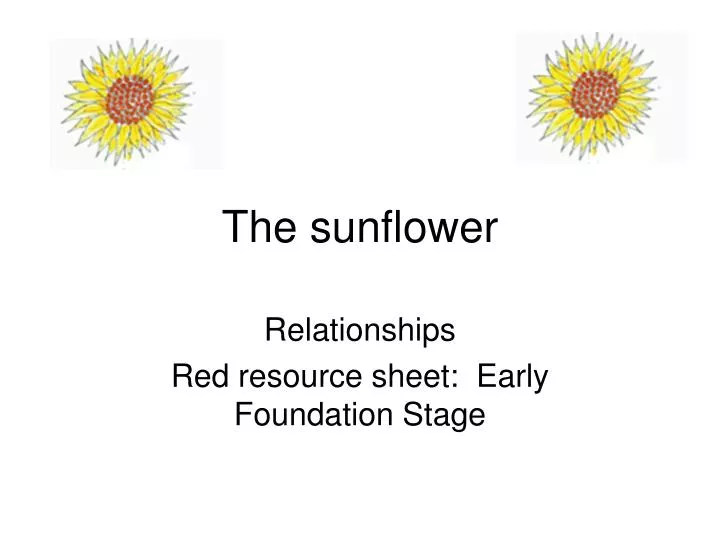 the sunflower