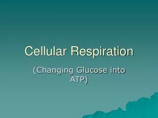 Cellular Respiration