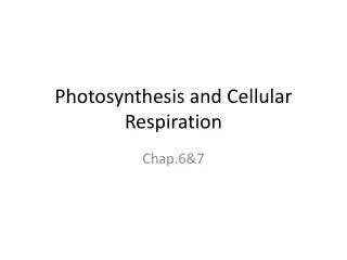 Photosynthesis and Cellular Respiration