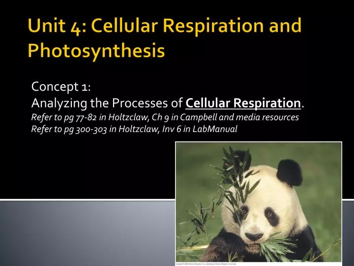 unit 4 cellular respiration and photosynthesis
