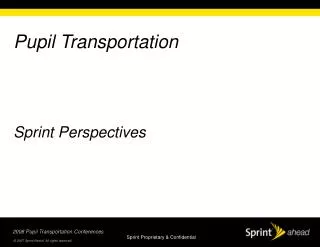 Pupil Transportation Sprint Perspectives