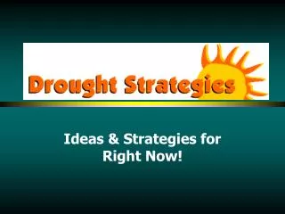 Ideas &amp; Strategies for Right Now!