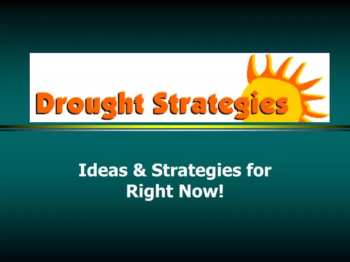 ideas strategies for right now