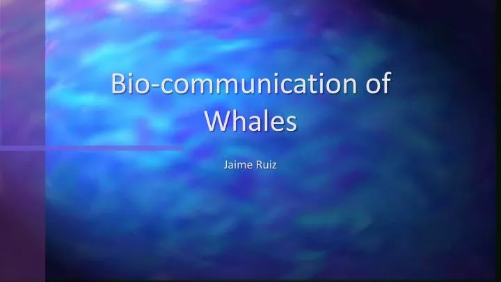 bio communication of whales