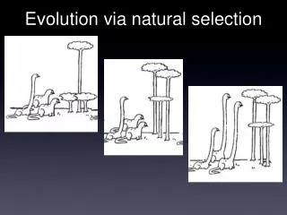 Evolution via natural selection