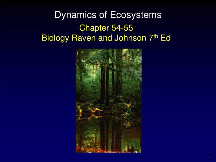 dynamics of ecosystems