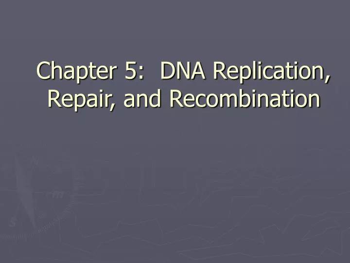chapter 5 dna replication repair and recombination