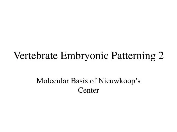 vertebrate embryonic patterning 2