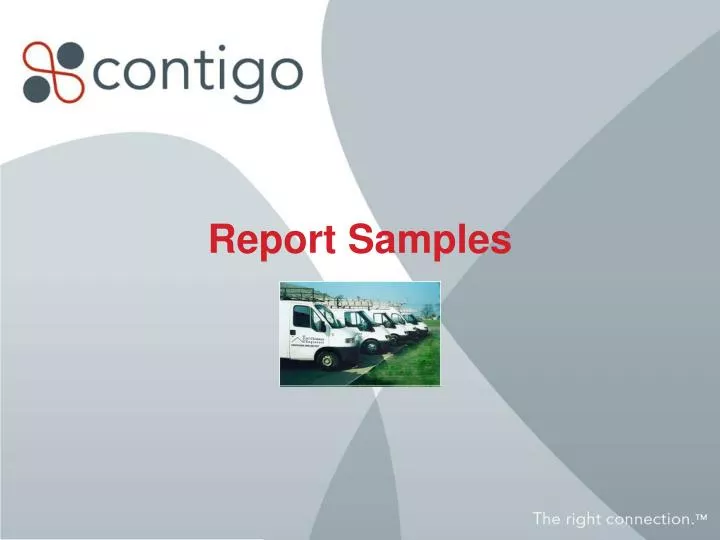 report samples