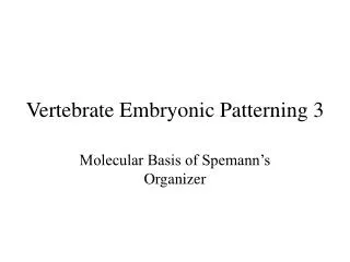 Vertebrate Embryonic Patterning 3