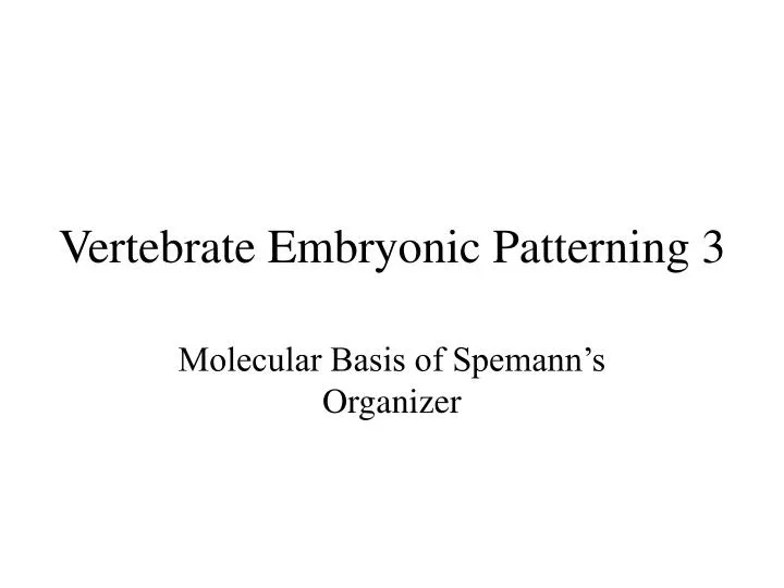 vertebrate embryonic patterning 3