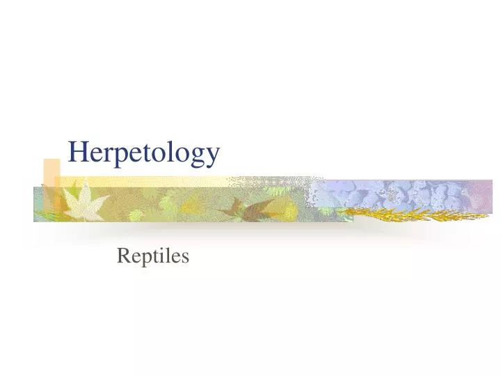 herpetology