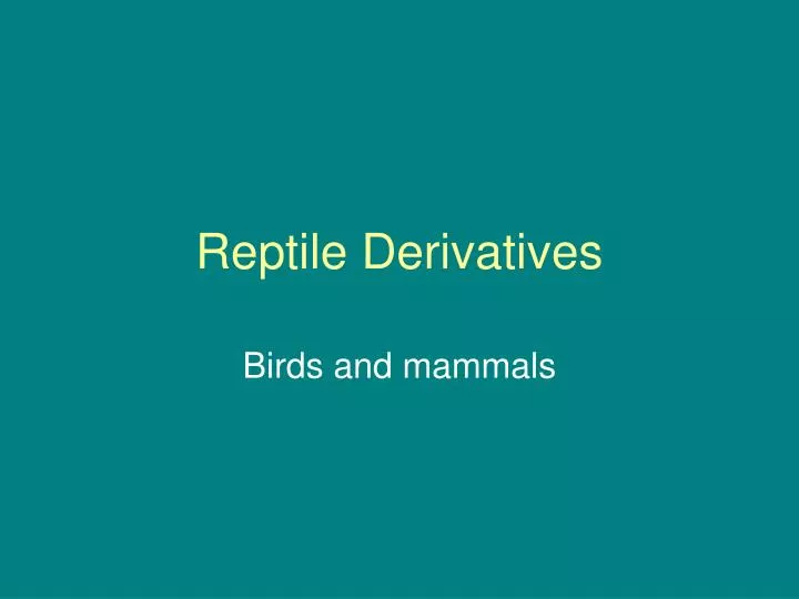 reptile derivatives