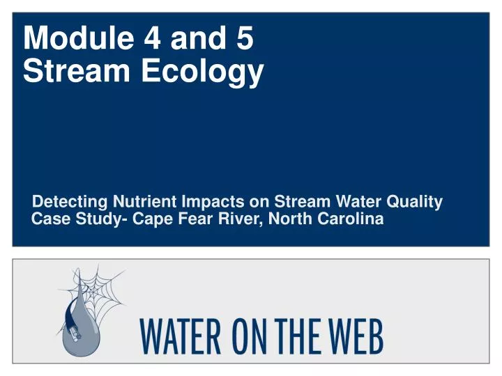 module 4 and 5 stream ecology