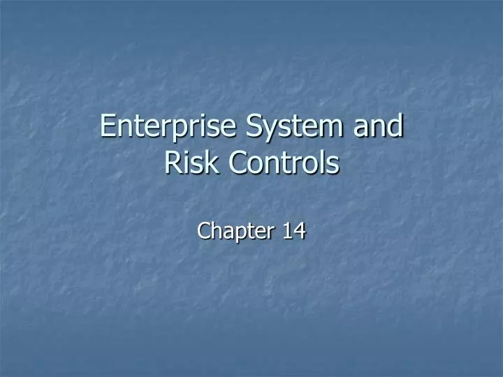 enterprise system and risk controls